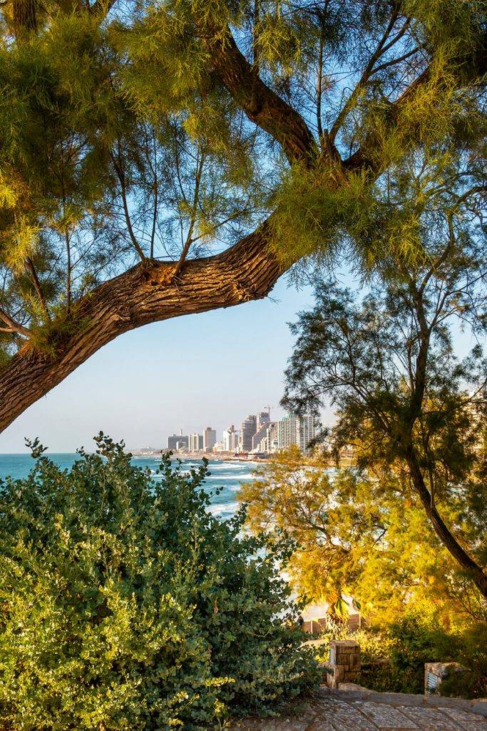 Recent Old Jaffa Transactions | 2025 The Tel Avivi ⎸ Property Advisors Avraham Kaviri: Avraham Kaviri,International Style,Tel Aviv,Bauhaus,Israeli architecture