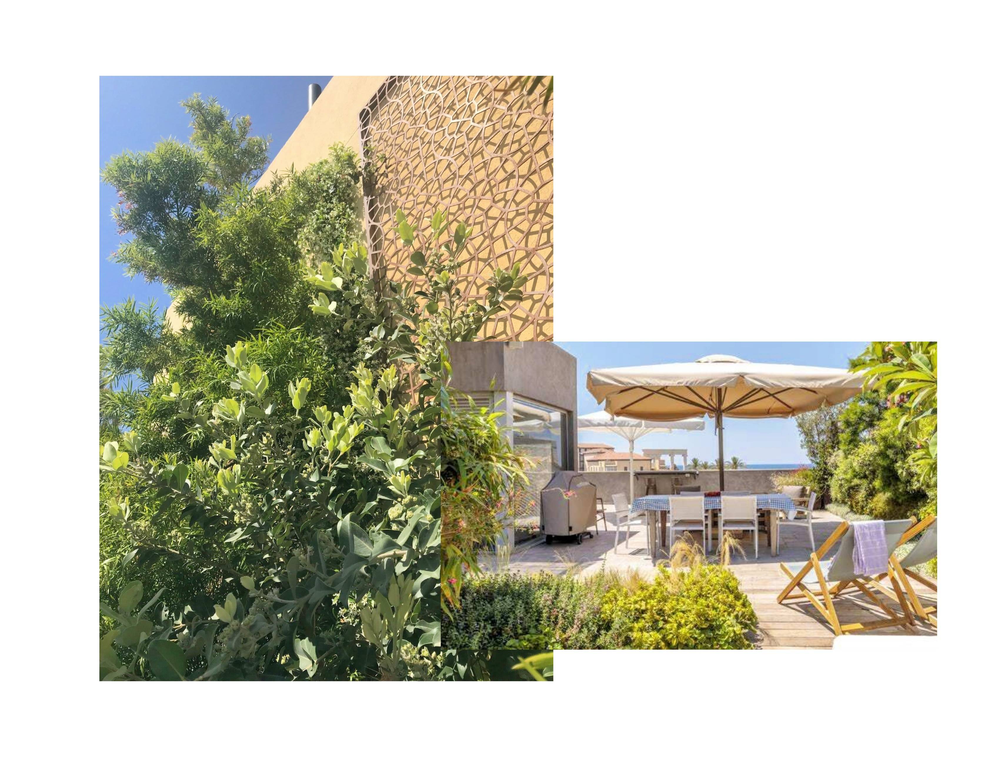 For Sale ⎸ Old Jaffa ⎸ 3 Bedrooms