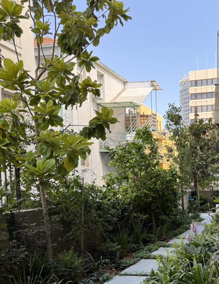 tel aviv apartment for rent: