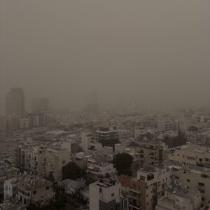 linkinbio: linkinbio,#telavivian